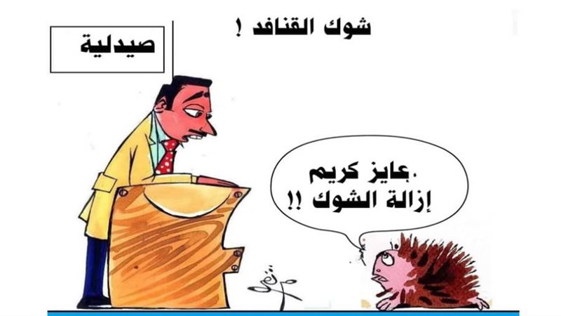 ريشة ثروت مرتضى