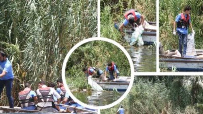 شباب الحملة.. ارشيفية