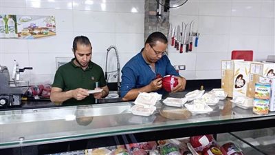 صحة المنيا تحرر 298 محضرًا لمنشآت مخالفة وإعدام 1346 كيلو أغذية غير صالحة