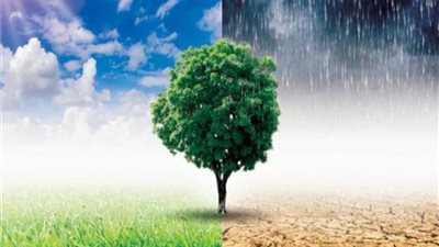 هكذا تواجه الصين تأثير التغيرات المناخية على المحاصيل الزراعية