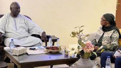 عضو بمجلس السيادة السوداني: الأولوية لإعادة الأمن والاستقرار بالنيل الأزرق