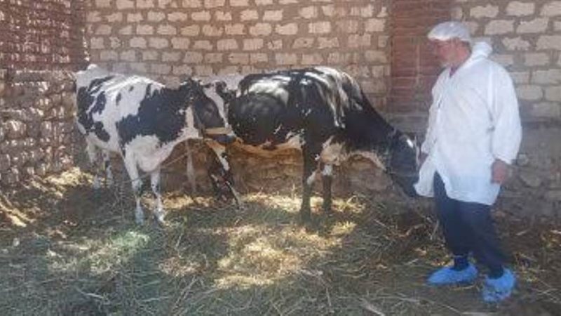 استمرار الحملة الثانية