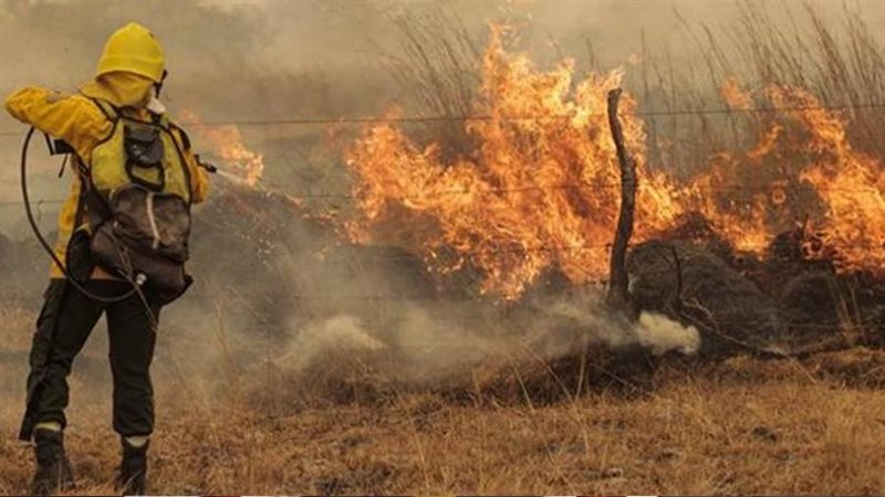 حرائق الغابات