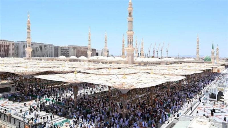 المدينة المنورة -