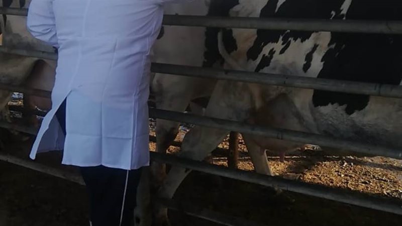 تحصين مواشي