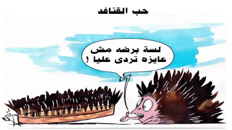 ريشة ثروت مرتضى