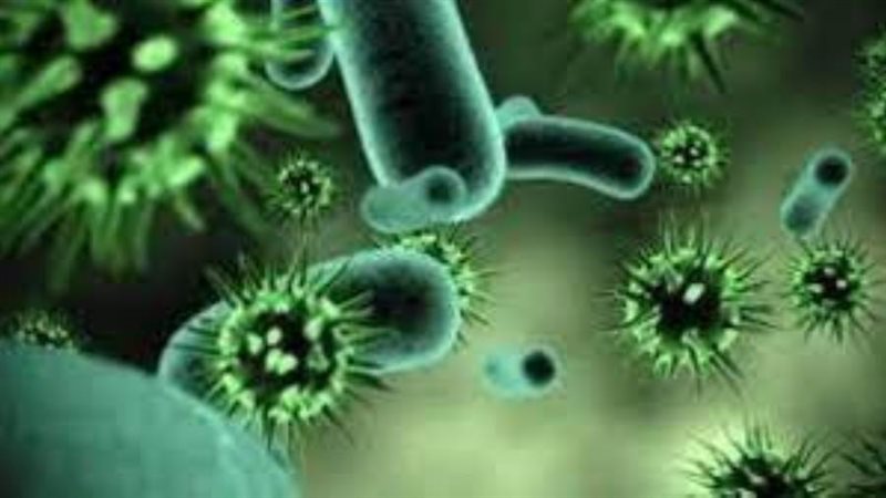 فيروس ماربورغ