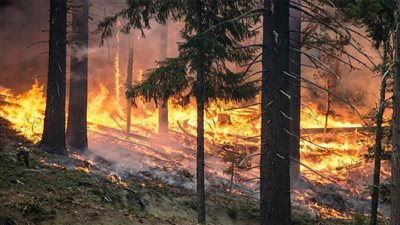 دراسة: تغير المناخ يكلف ألمانيا مليارات اليوروهات سنويًا