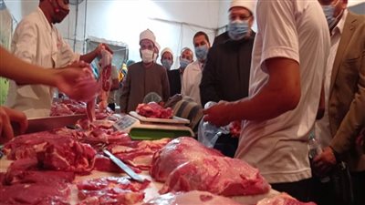 توزيع الدفعة الأولى من لحوم صكوك الأضاحي بقرى الشيخ زويد