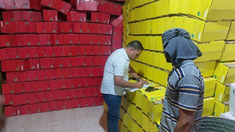 تموين برج العرب بالإسكندرية