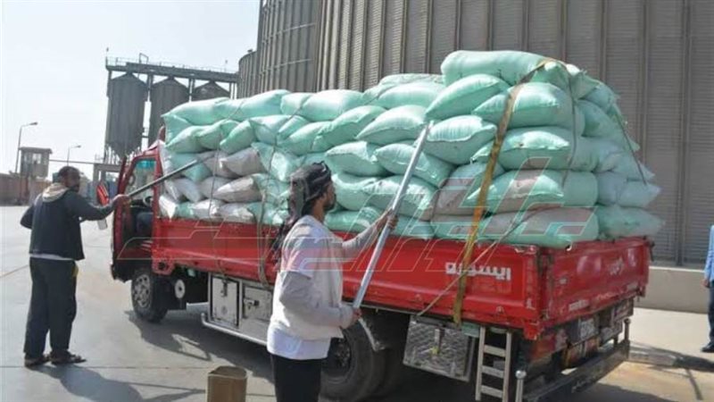 توريد القمح