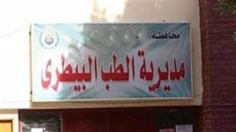 استمرار حملات التحصين