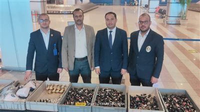 جمارك مطار الغردقة الدولي تضبط محاولة تهريب عدد من أجهزة الوشم بالتاتو