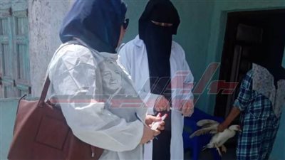 تحصين 31170 طائرا ضد الأمراض الوبائية بكفر الشيخ