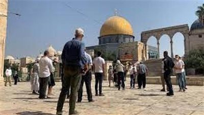 مُفتي فلسطين يدين اقتحام مُستوطن لمسجد بالقدس وأداءه لطقوس تلمودية فيه