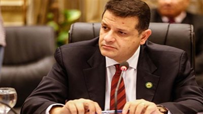 رئيس حقوق الإنسان بالنواب: مصر بدأت في اتخاذ خطوات للحاق بركب التطور التكنولوجي السريع