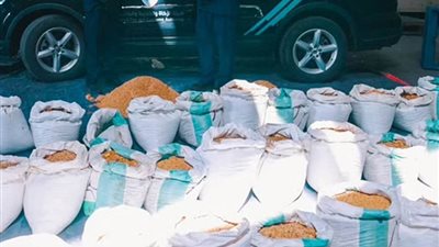 السعودية.. إحباط تهريب 15 مليون حبة كبتاجون في ميناء جدة