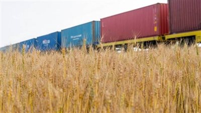 بريطانيا تدعو إلى تطبيق اتفاق تصدير الحبوب من أوكرانيا في أسرع وقت