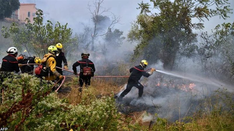 حرائق غابات - ارشيفية