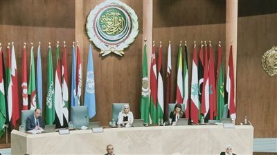 مصر تقدم الجهود الوطنية لمكافحة جائحة كورونا المستجد أمام المؤتمر الإقليمي العربي