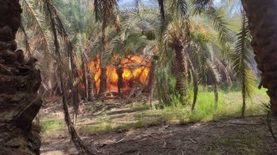 إصابة شخصين وتفحم ورشة في حريق بمزرعة نخيل بالوادي الجديد 