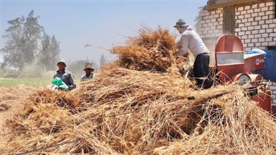 الولايات المتحدة تخصص 255 مليون دولار إضافية لمكافحة انعدام الأمن الغذائي والجفاف في كينيا