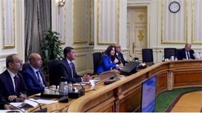 مساعد أول رئيس الوزراء: 109 شكاوى تلقتها وحدة حل مشكلات المستثمرين