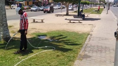 نشاط مكثف لجهاز التطوير والتجميل بحيِّ ثالث مدينة الإسماعيلية 