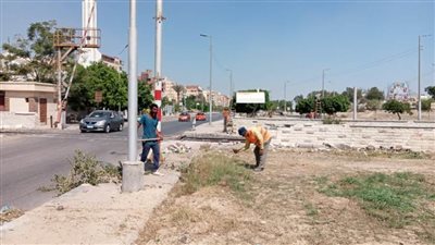 الوحدات المحلية تواصل أعمال النظافة والإنارة العامة بالإسماعيلية 