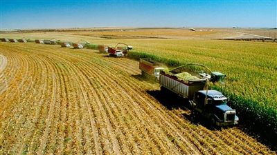 مخاوف من انخفاض المحاصيل الزراعية في أوروبا بسبب الحر