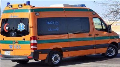 إصابة 7 أشخاص في تصادم سيارة ربع نقل بشجرة بأبوقرقاص جنوب المنيا 