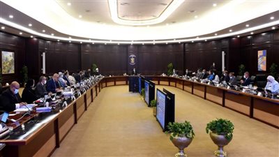 تعرف على قرارات الحكومة اليوم