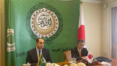 جامعة الدول العربية والحكومة اليابانية والأمم المتحدة يعقدون مائدة مستديرة حول تغيّر المناخ