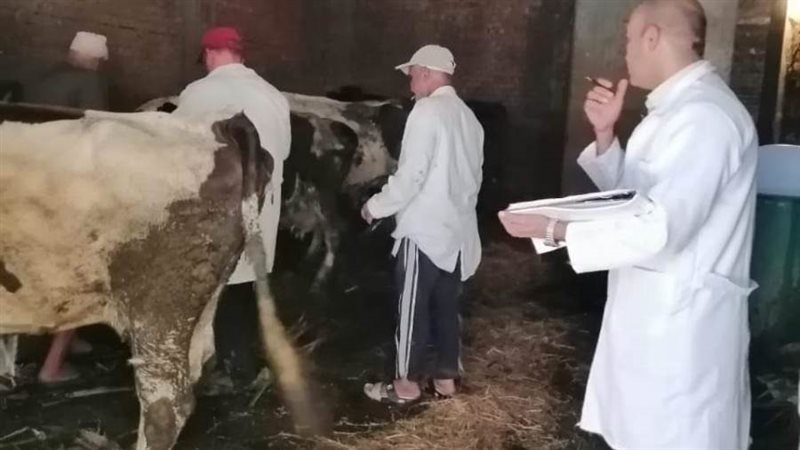 تحصين ١٧٠٧٣٦ رأس