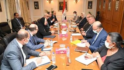 وزيرا قطاع الأعمال والتجارة والصناعة يبحثان منظومة تداول الأقطان للموسم الجديد