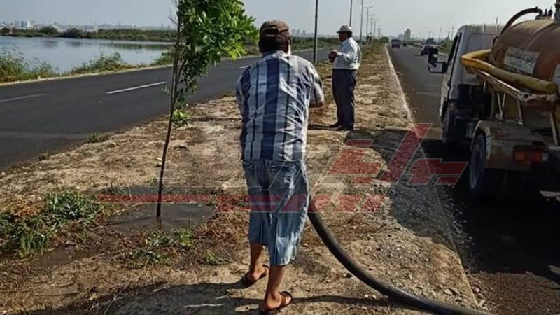 زراعة الأشجار