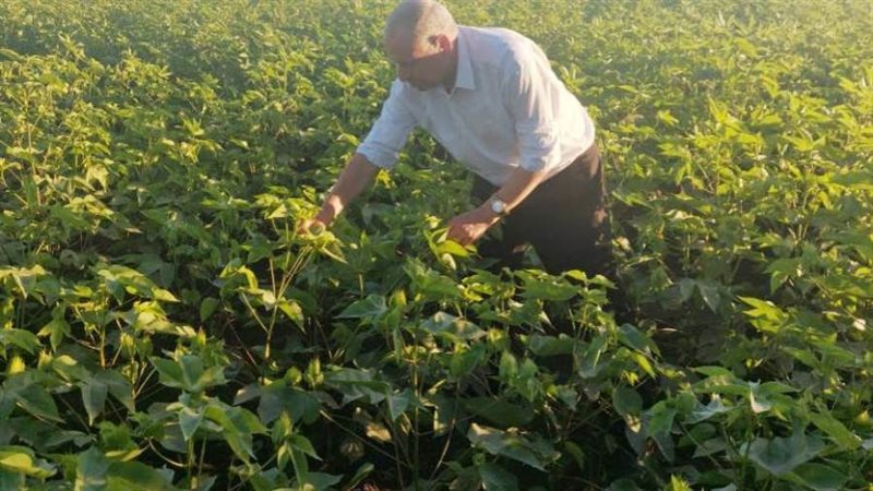 وكيل وزارة الزراعة