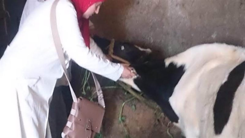 توفير التحصينات