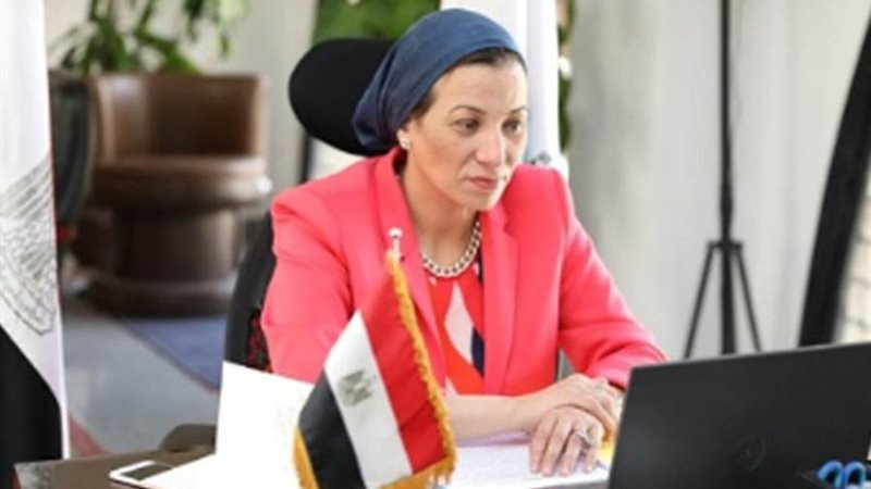 الدكتورة ياسمين فؤاد