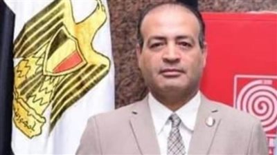 استاذ اقتصاد: ارتفاع سعر الدولار أمام الجنيه ليس مشكلة إذا أحسنا استغلاله