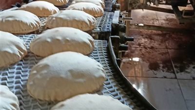 ضبط 69 مخالفة تموينية خلال حملة بالدقهلية 