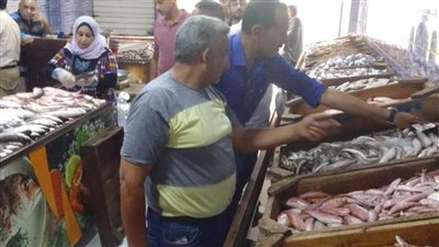 إعدام سلع غذائية فاسدة وضبط مخالفات تموينية خلال حملة بالدقهلية