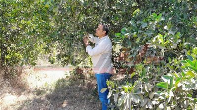 سلام يكشف لـ