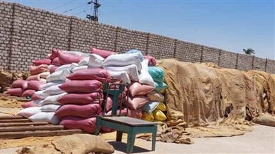 توريد أكثر من 110 آلاف طن أقماح حتى الآن بسوهاج 