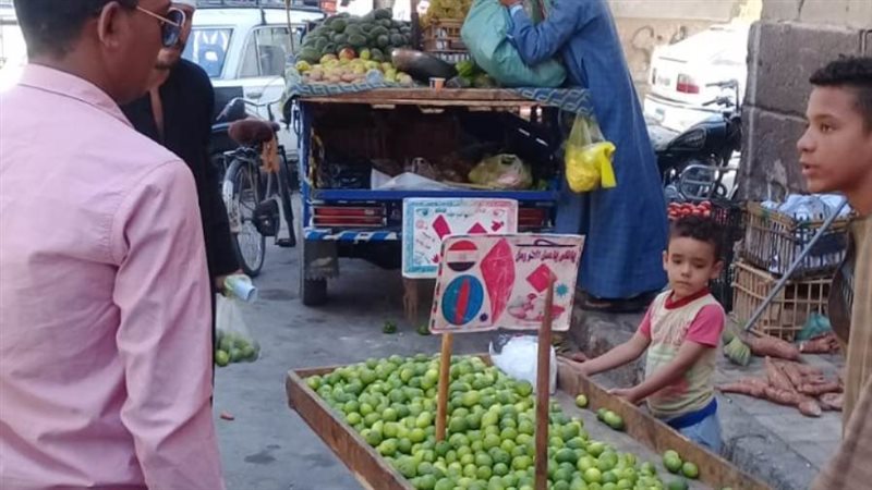 جانب من الحملة