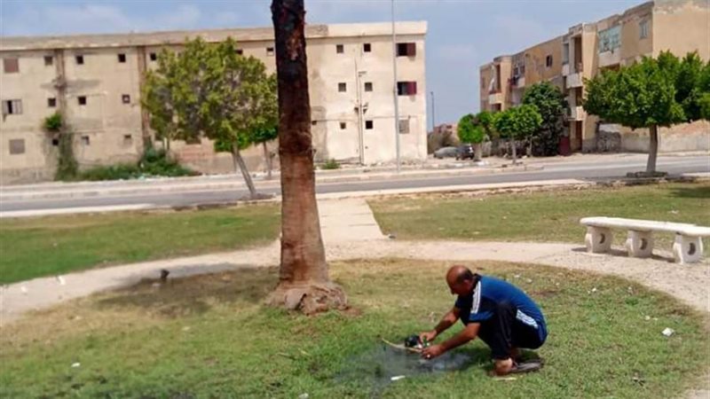 بوابة روز اليوسف