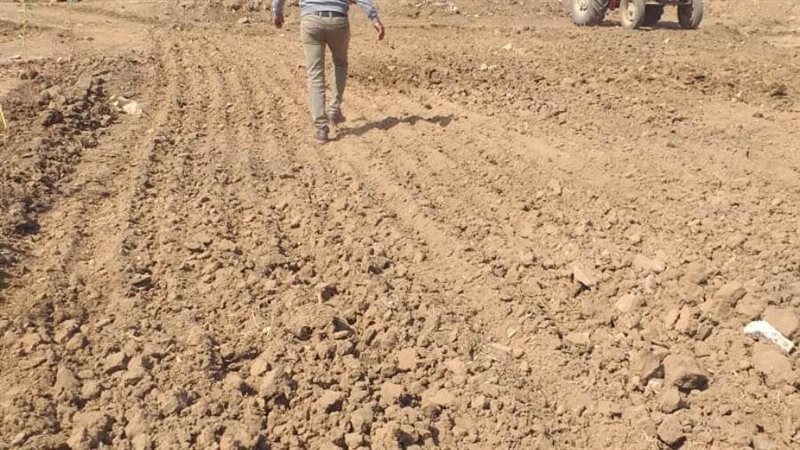 زراعة الأراضي بالمنوفية