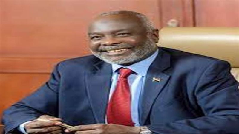وزير المالية السوداني