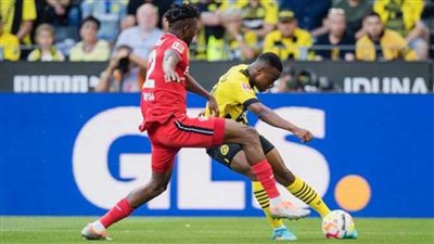 بوروسيا دورتموند يفوز على باير ليفركوزن بهدف نظيف في الدوري الألماني