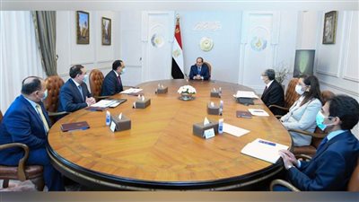 بعد توجيهات الرئيس اليوم.. 20 معلومة عن خطة مصر في مجال الطاقة المتجددة 